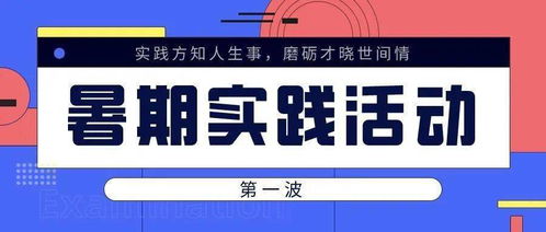 實(shí)事求是 經(jīng)濟(jì)學(xué)院暑期社會(huì)實(shí)踐風(fēng)采展（二）——社會(huì)經(jīng)濟(jì)咨詢服務(wù)