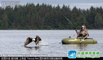 禿鷹突襲釣魚(yú)艇，男子荒野歷險(xiǎn)記