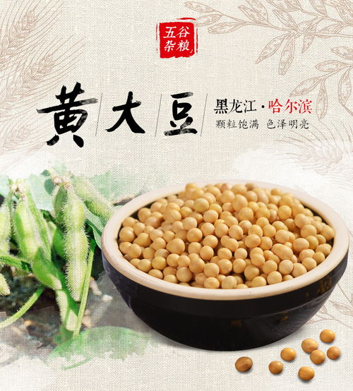一粒黃豆的千年之旅 東北原產(chǎn)地的舌尖饋贈